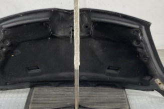 Capot CITROEN C4 PICASSO 1
