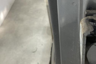 Porte arriere gauche CITROEN C4 PICASSO 1