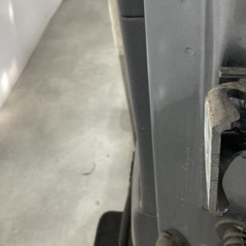 Porte arriere gauche CITROEN C4 PICASSO 1 Photo n°4