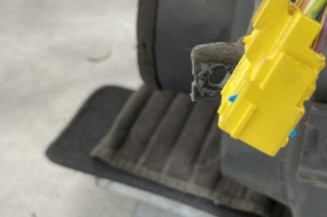 Porte avant gauche CITROEN C4 PICASSO 1