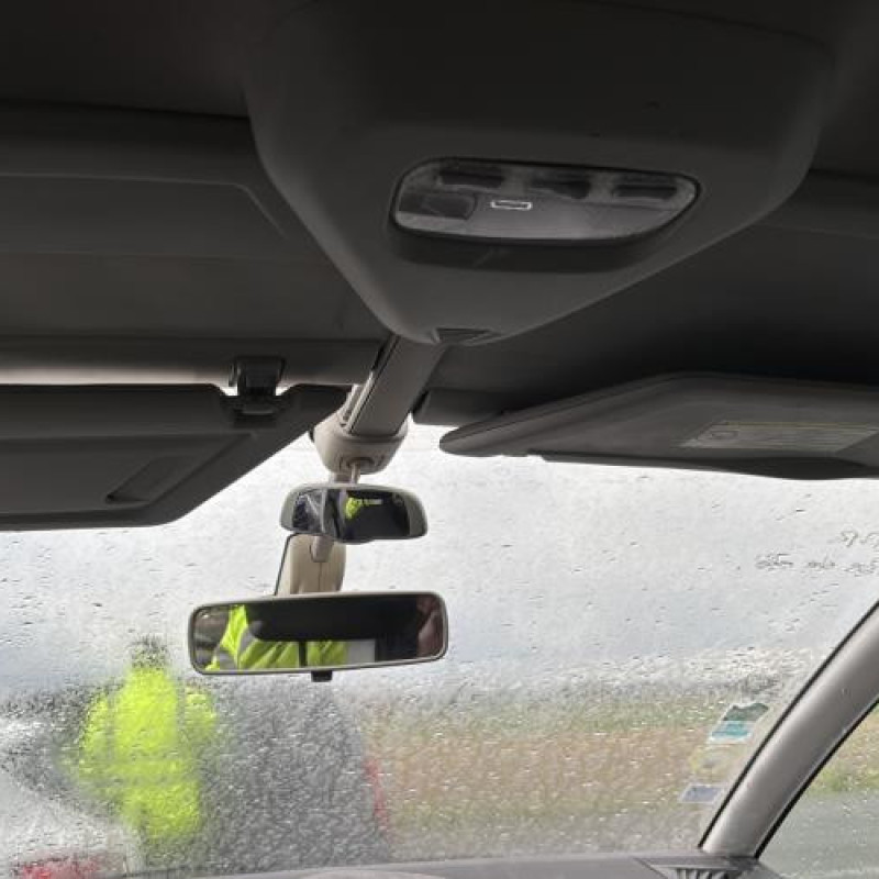 Porte avant gauche CITROEN C4 PICASSO 1 Photo n°19