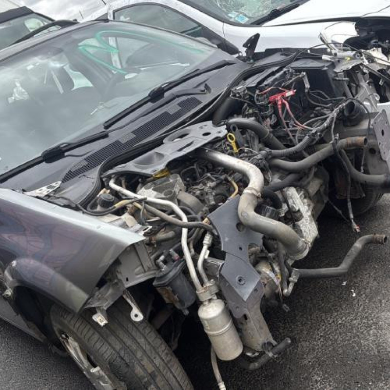 Custode arriere droit (porte) RENAULT MEGANE 2 Photo n°6