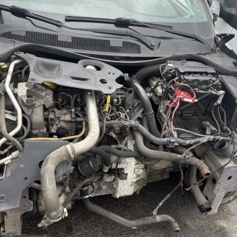 Custode arriere droit (porte) RENAULT MEGANE 2 Photo n°10