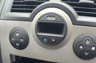 Custode arriere droit (porte) RENAULT MEGANE 2