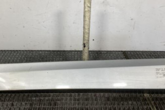 Baguette de porte avant gauche RENAULT SCENIC 3 Photo n°1