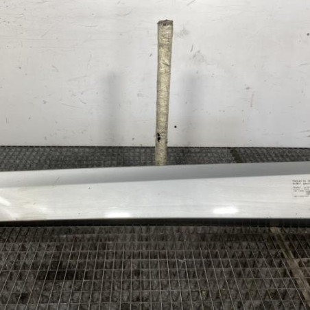 Baguette de porte avant gauche RENAULT SCENIC 3 Photo n°1