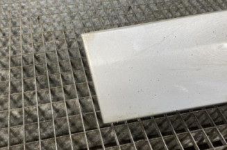 Baguette de porte avant gauche RENAULT SCENIC 3