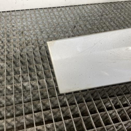 Baguette de porte avant gauche RENAULT SCENIC 3