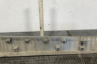 Baguette de porte avant gauche RENAULT SCENIC 3