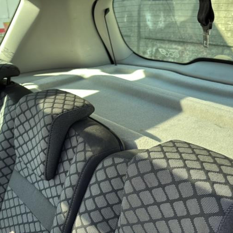 Baguette de porte avant gauche RENAULT SCENIC 3 Photo n°15