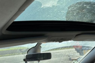 Baguette de porte avant gauche RENAULT SCENIC 3