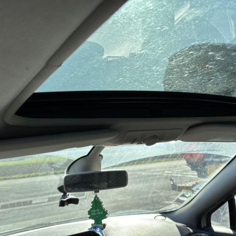 Baguette de porte avant gauche RENAULT SCENIC 3 Photo n°17