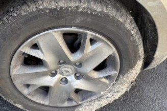 Baguette de porte avant gauche RENAULT SCENIC 3