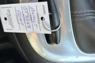 Baguette de porte avant gauche RENAULT SCENIC 3