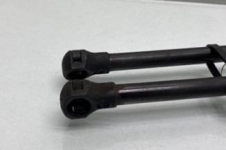 Verin de coffre RENAULT MODUS