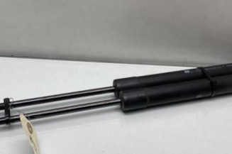 Verin de coffre RENAULT MODUS