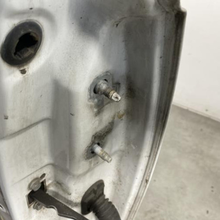 Porte avant gauche RENAULT TWINGO 2