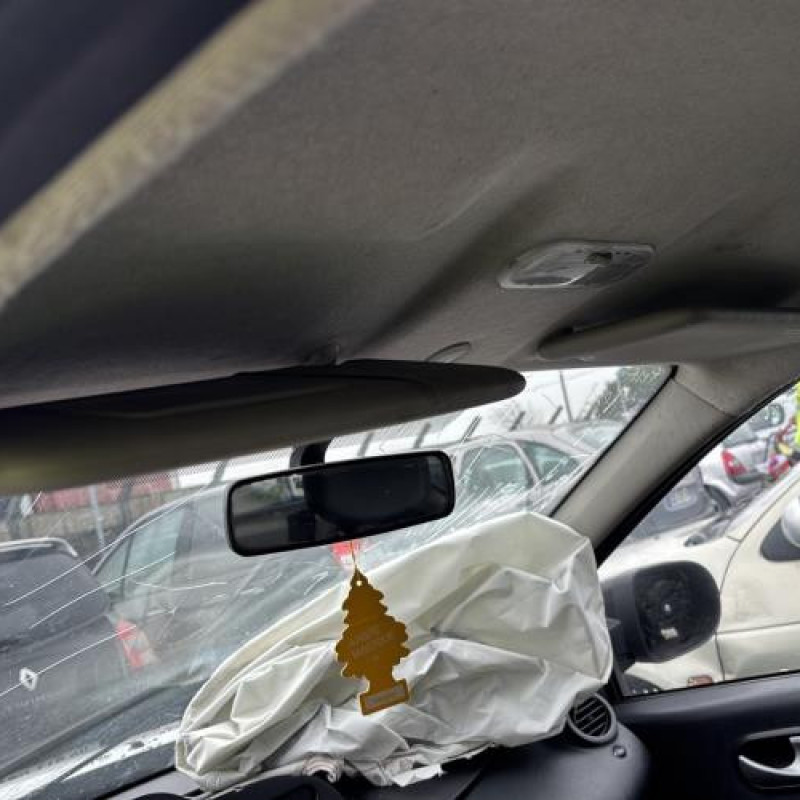 Porte avant gauche RENAULT TWINGO 2 Photo n°16