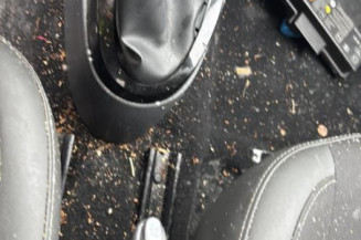 Porte avant gauche RENAULT TWINGO 2