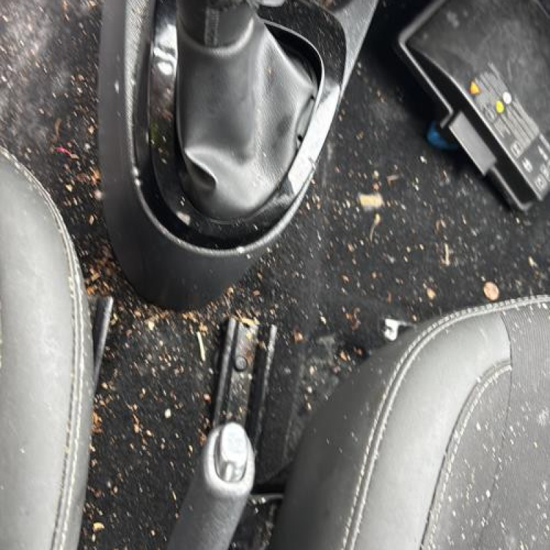 Porte avant gauche RENAULT TWINGO 2 Photo n°20