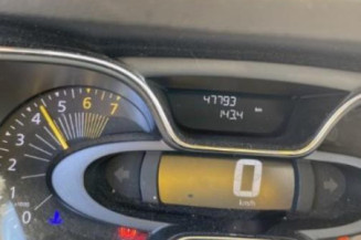 Baguette de porte avant gauche RENAULT CAPTUR 1