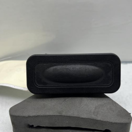 Bouton de coffre RENAULT CAPTUR 1 Photo n°1