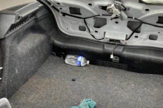 Poignee porte avant gauche RENAULT CLIO 3