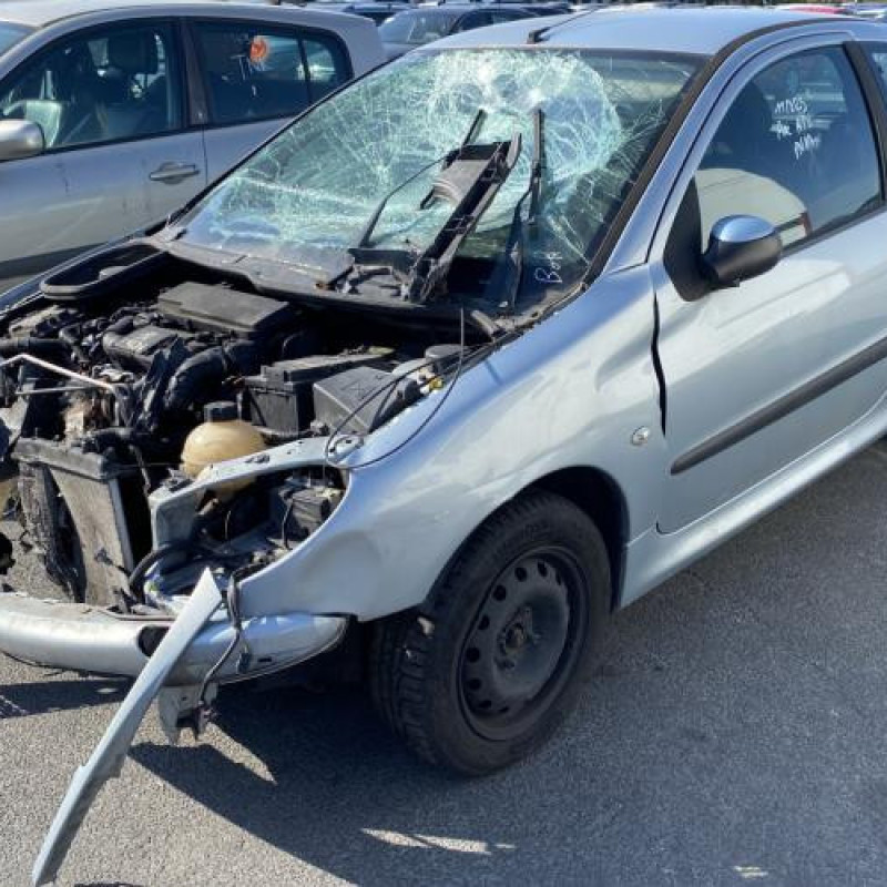 Feu arriere principal gauche (feux) PEUGEOT 206 Photo n°6