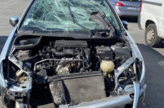 Feu arriere principal gauche (feux) PEUGEOT 206