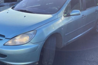 Custode avant gauche (porte) PEUGEOT 307