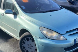 Custode avant gauche (porte) PEUGEOT 307