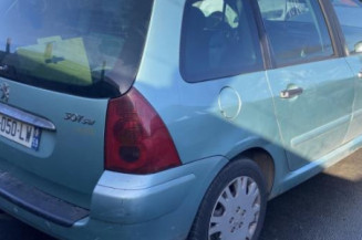Custode avant gauche (porte) PEUGEOT 307