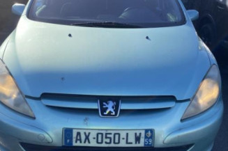 Custode avant gauche (porte) PEUGEOT 307