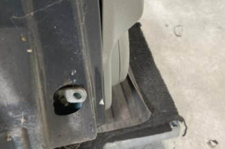 Porte avant droit RENAULT SCENIC 1