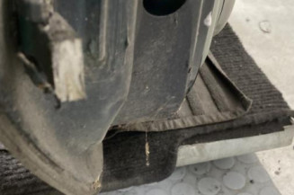 Porte avant droit RENAULT SCENIC 1