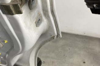 Porte avant gauche RENAULT TRAFIC 2