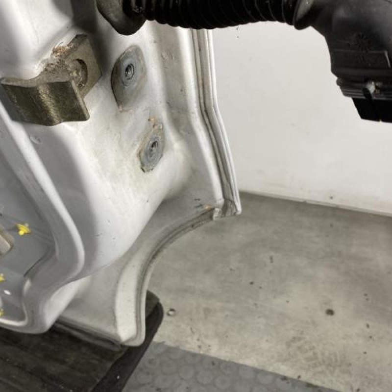 Porte avant gauche RENAULT TRAFIC 2 Photo n°4