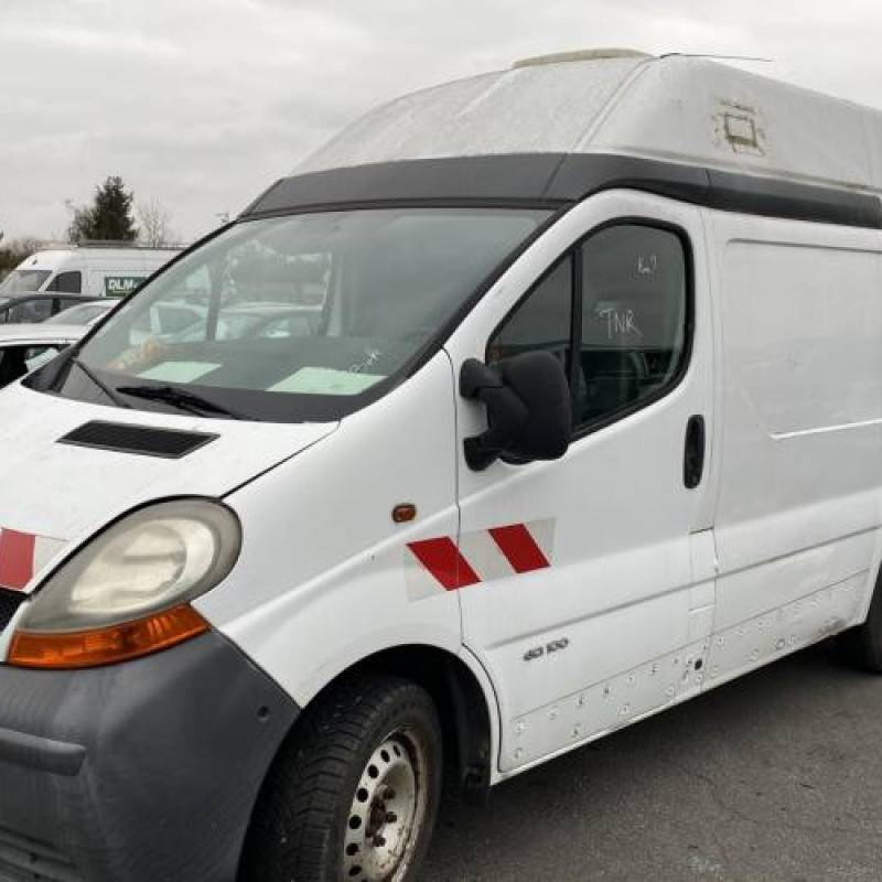 Porte avant gauche RENAULT TRAFIC 2 Photo n°6