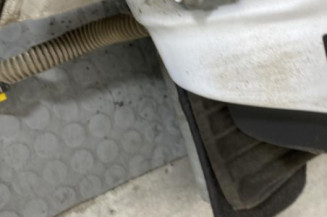 Porte arriere droit RENAULT CLIO 4