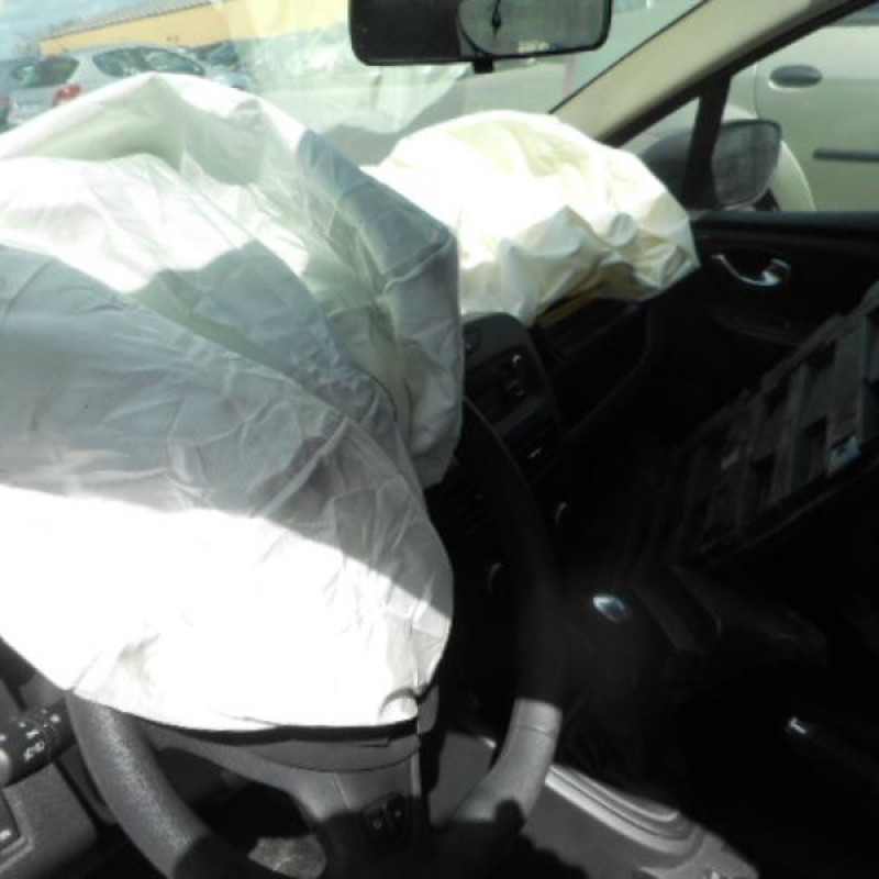 Porte arriere droit RENAULT CLIO 4 Photo n°13