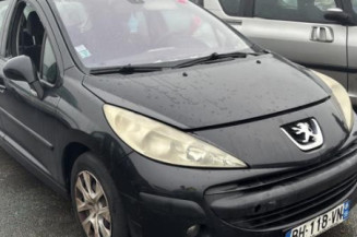 Malle/Hayon arriere PEUGEOT 207