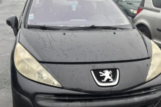 Malle/Hayon arriere PEUGEOT 207