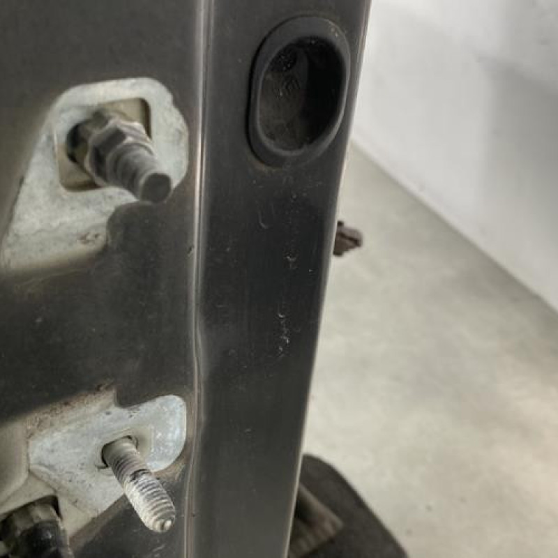 Porte avant droit RENAULT CLIO 3 Photo n°4