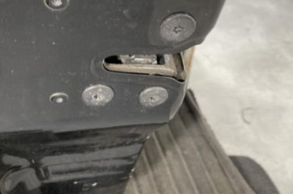 Porte avant gauche RENAULT CLIO 3