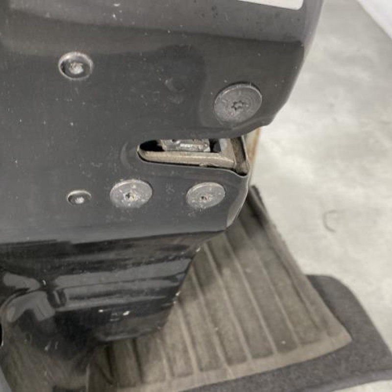 Porte avant gauche RENAULT CLIO 3 Photo n°3