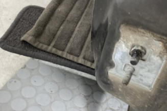 Porte avant gauche RENAULT CLIO 3