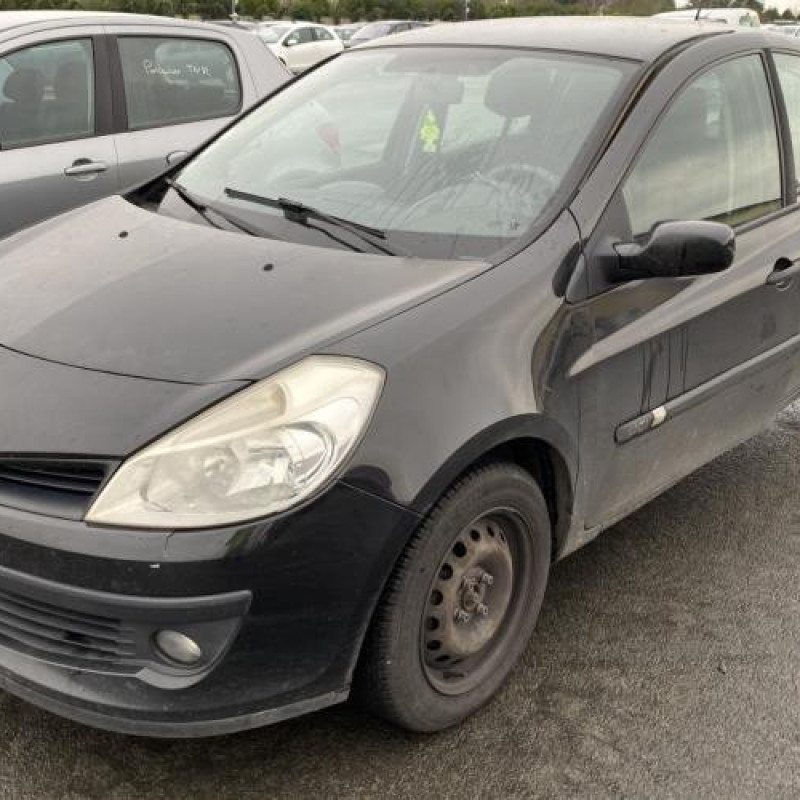 Porte avant gauche RENAULT CLIO 3 Photo n°7
