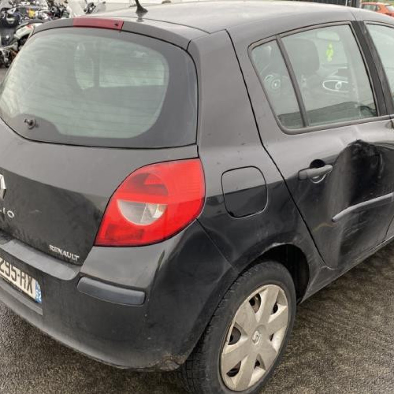 Porte avant gauche RENAULT CLIO 3 Photo n°9