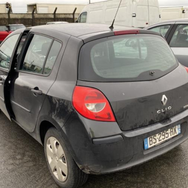 Porte avant gauche RENAULT CLIO 3 Photo n°10