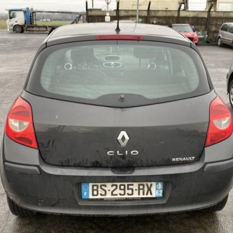Porte avant gauche RENAULT CLIO 3 Photo n°11